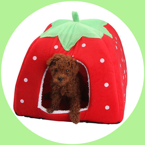 Strawberry Dog House