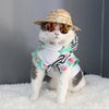 Fashion Pet Sunglasses