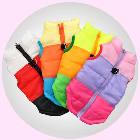 Classic Dog Clothes