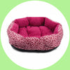 Colorful Leopard Print Dog Beds