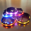 Dog Night Safety LED Collars
