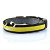 Dog Night Safety LED Collars