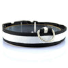 Dog Night Safety LED Collars