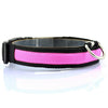 Dog Night Safety LED Collars
