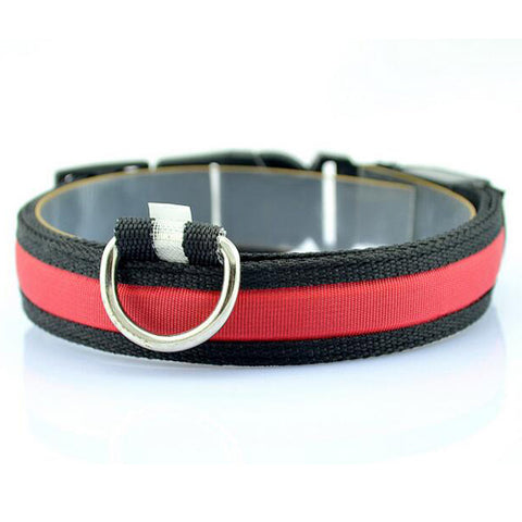 Dog Night Safety LED Collars