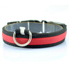 Dog Night Safety LED Collars