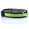 Dog Night Safety LED Collars