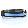 Dog Night Safety LED Collars