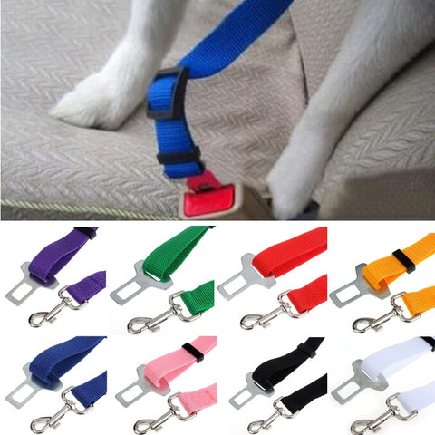 Dog Harness