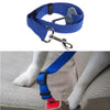 Dog Harness