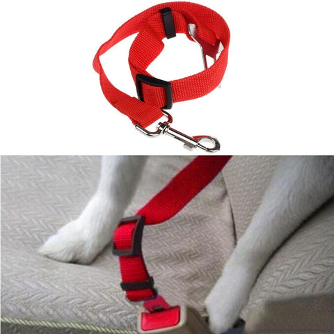 Dog Harness