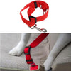 Dog Harness