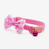 Cute Dog Collars