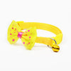 Cute Dog Collars