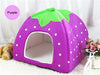 Strawberry Dog House