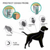 Anti-insect Dog Collar