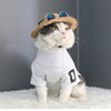 Fashion Pet Sunglasses