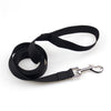 Walking Training Dog Leash