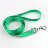 Walking Training Dog Leash