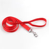 Walking Training Dog Leash