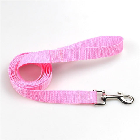 Walking Training Dog Leash