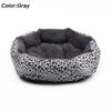 Colorful Leopard Print Dog Beds