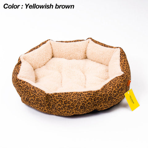 Colorful Leopard Print Dog Beds