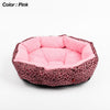 Colorful Leopard Print Dog Beds