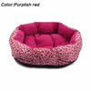 Colorful Leopard Print Dog Beds