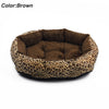 Colorful Leopard Print Dog Beds