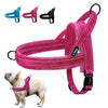Reflective Dog Harnesses