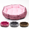 Colorful Leopard Print Dog Beds